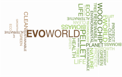 Evoworld Biomass Servicing & Maintenance